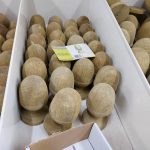 369530381_207367432318011_6423330776718399054_n